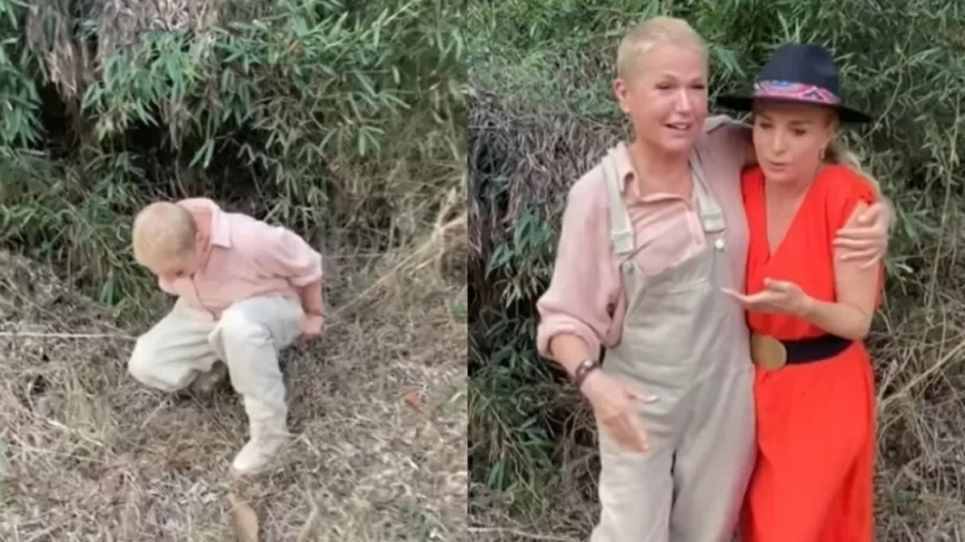 Xuxa é flagrada por Angelica 