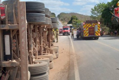 Acidente: carreta atropela e deixa 21 animais mortos no DF