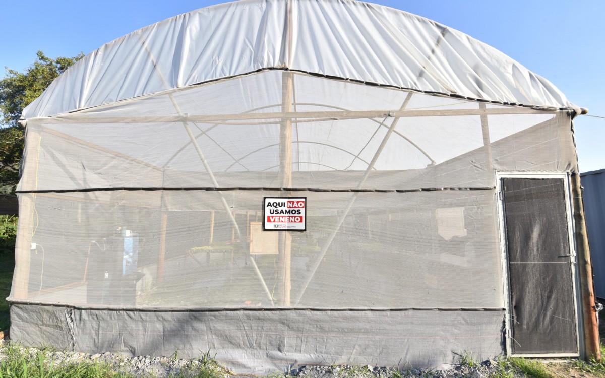Estufa para garantir agricultura sustent&aacute;vel