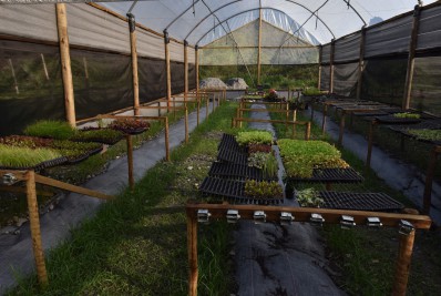 Nova estufa para garantir agricultura sustentável