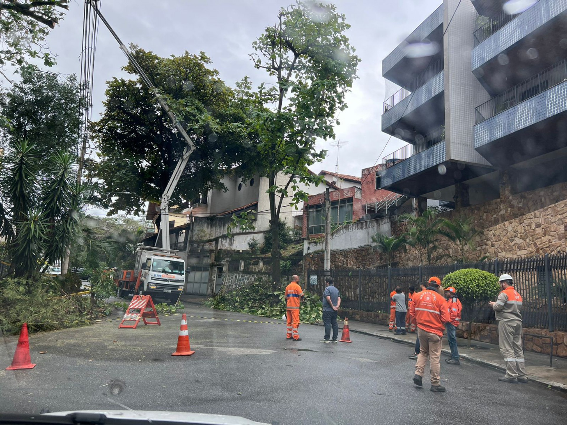 Técnicos da Light e funcionários da Comlurb realizam corte de árvores na Rua Carmem Miranda, na Ilha do Governador - Foto: Agência O Dia