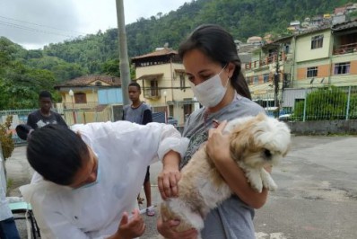 Quarta etapa de vacinação antirrábica acontece no próximo sábado