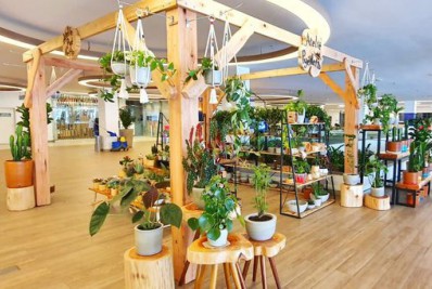 Decoração sustentável em exposição gratuita na Barra