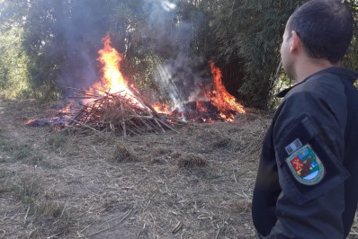 Guarda Ambiental autua homem por provocar incêndio em área de mata