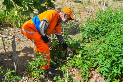 Horta Comunitária do Condado recebe integrantes do Corpo de Bombeiros e da Associação de Moradores
