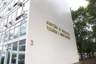 Ministério da Agricultura fecha fábrica de petiscos após morte de cachorros 