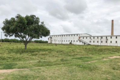 Instalação de indústria de pescados alemã no município é considerada projeto inovador no Brasil