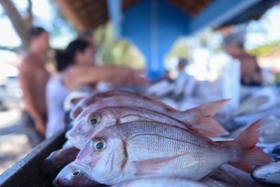 Feiras da Agricultura e dp Pescado promovem comercialização direta dos produtos, sem atravessadores