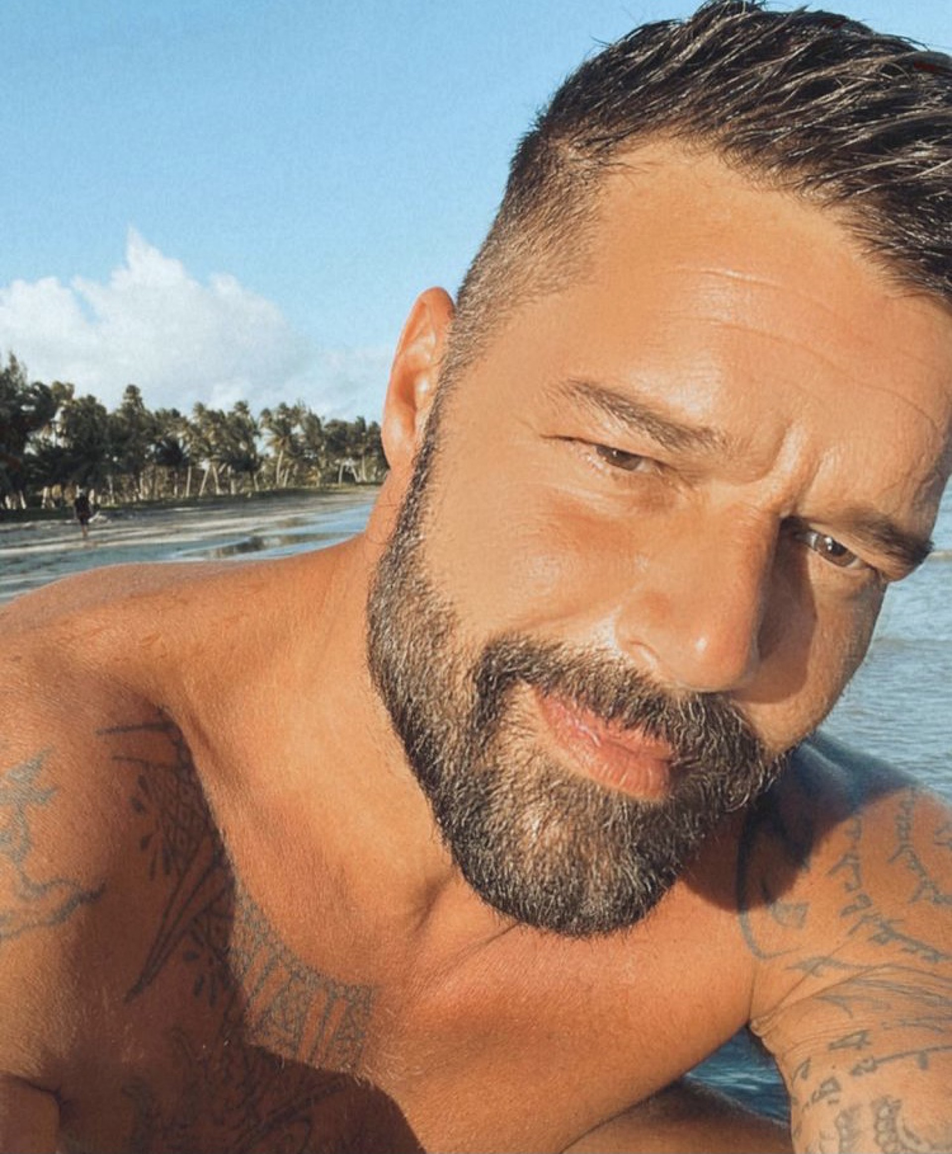 Ricky Martin  - Reprodução / Instagram