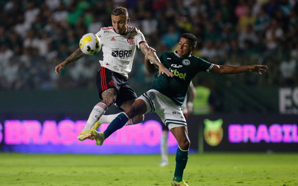 Goias e Flamengo neste domingo(11). Foto: Gilvan de Souza/Flamengo