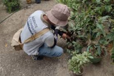 CCZ intensifica ações em mutirões de combate aos focos de proliferação do Aedes aegypti no município
