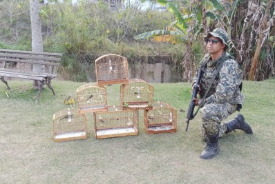 Aves silvestres são resgatadas de cativeiro em Teresópolis após denúncia feita ao Linha Verde