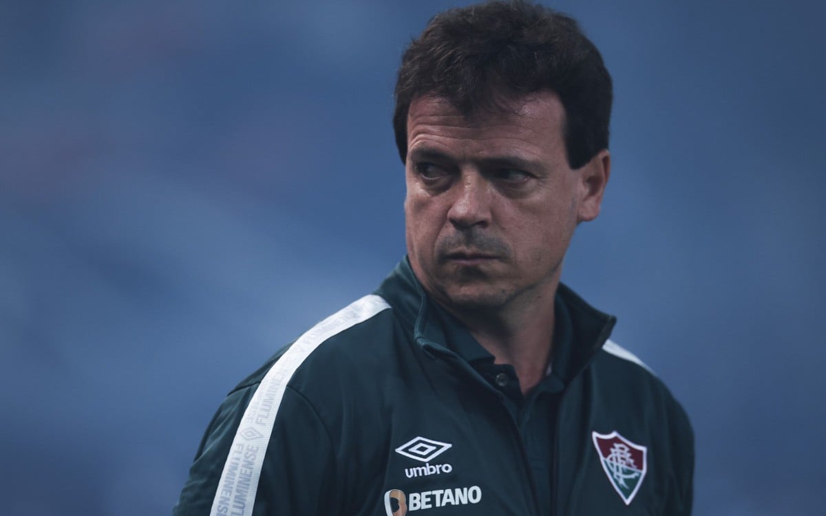 Fernando Diniz &eacute; o t&eacute;cnico do Fluminense