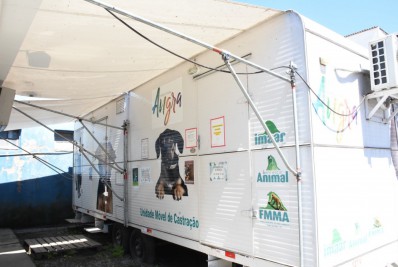 Mutirão de castração de animais na Banqueta, Nova Angra e Areal