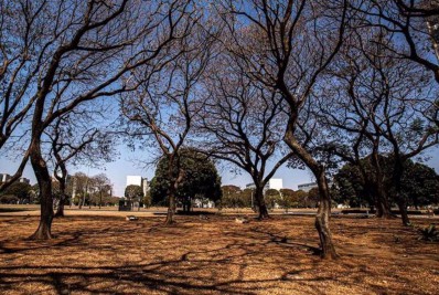 Com 131 dias sem chuvas, DF chega à maior estiagem dos últimos 52 anos