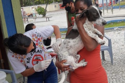 Vacinação antirrábica chega a Zona Norte neste sábado
