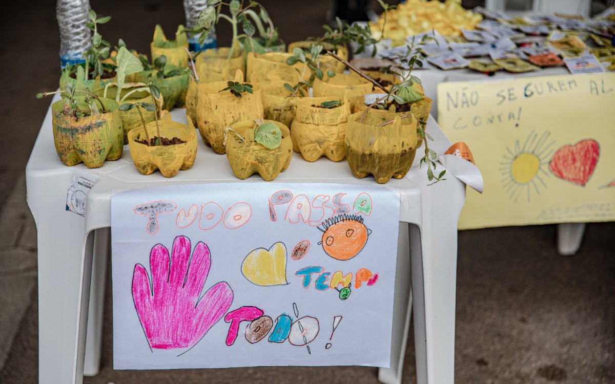 Mudas de plantas nativas da Mata Atl&acirc;ntica para distribui&ccedil;&atilde;o