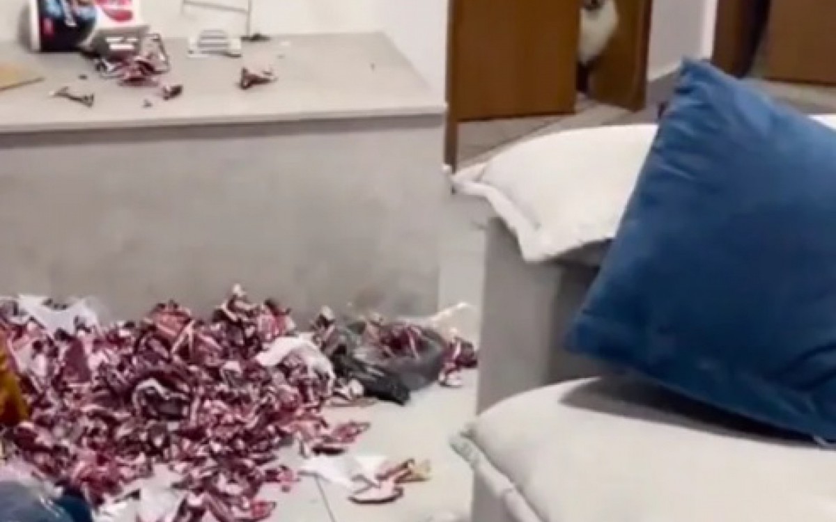 Ted rasgou cerca de 250 pacotes de figurinhas da Copa