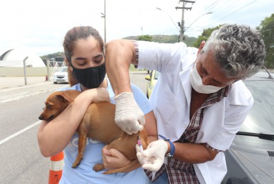 Niterói inicia Campanha de Vacinação Antirrábica Animal no sábado 24