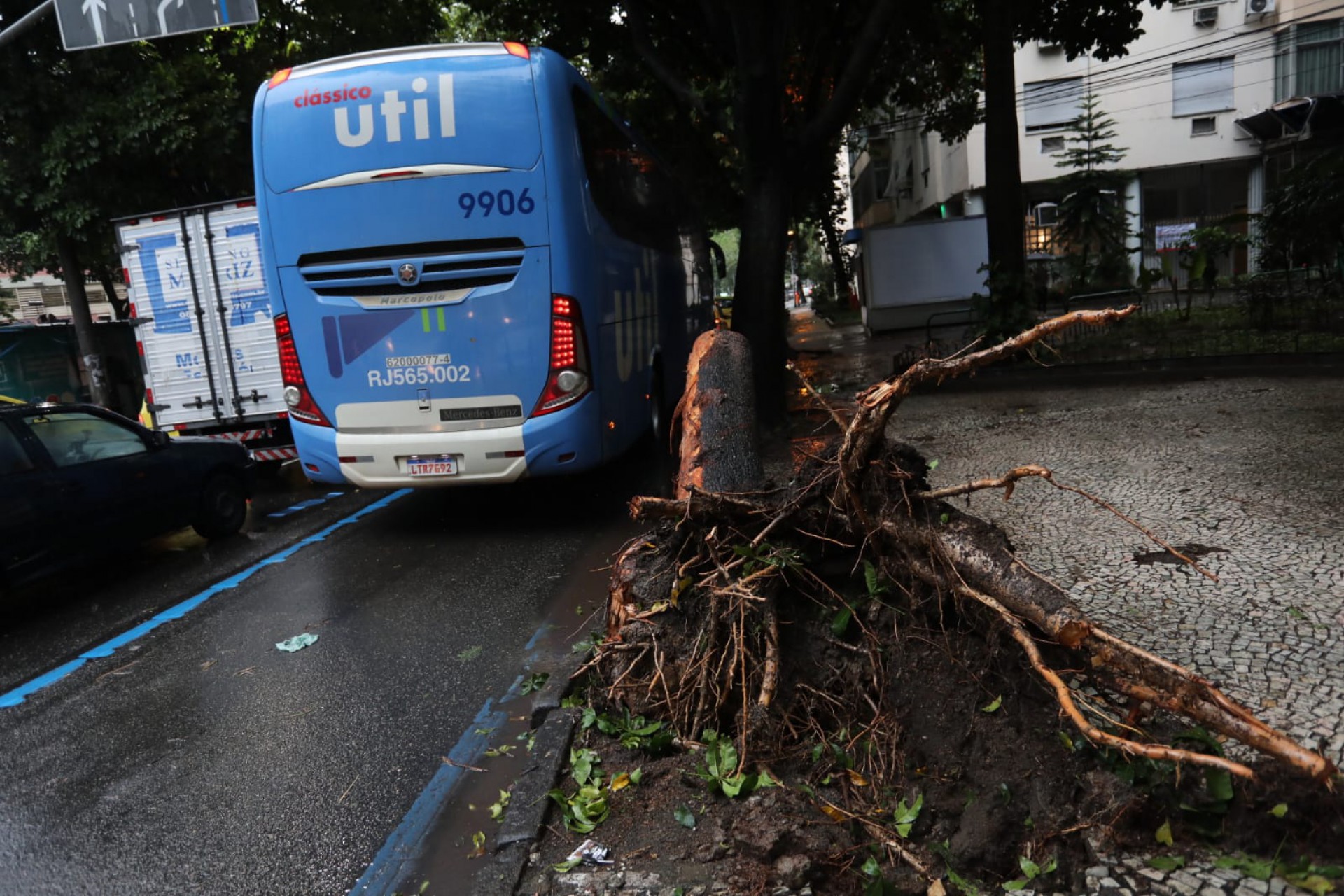 Ônibus colidiu com árvore na Rua São Clemente, na altura do Largo dos Leões, no Humaitá - Pedro Ivo/Agência O Dia