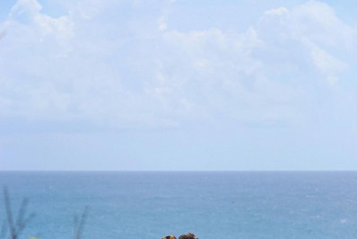 Viih Tube posta declaração para Eliezer, um mês após início de namoro