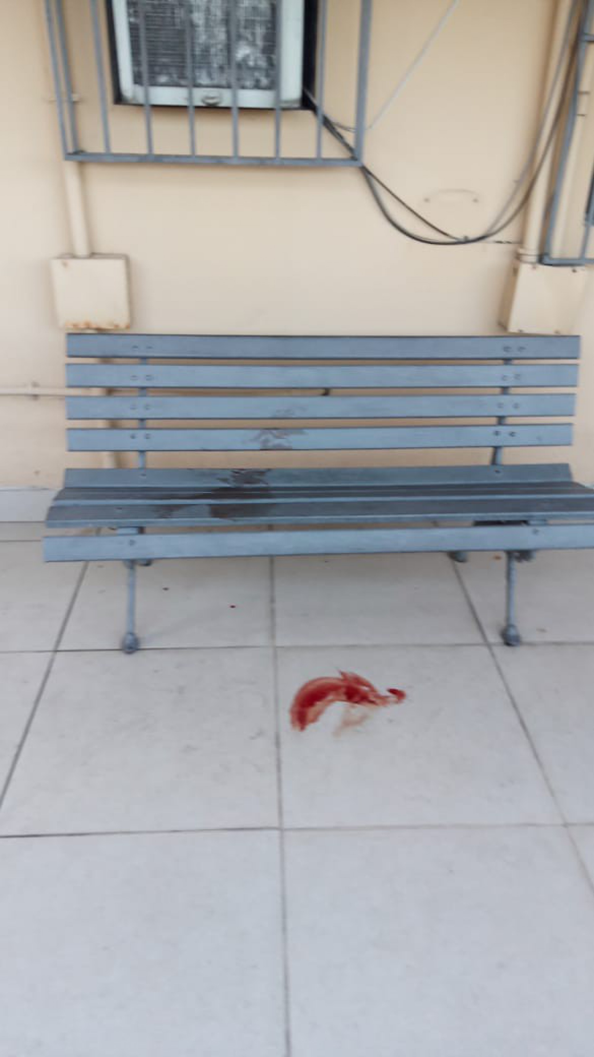 Manchas de sangue deixadas por um dos suspeitos no pátio do prédio - Divulgação