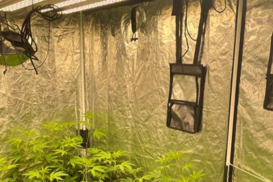 Polícia prende homem em flagrante por plantar maconha em condomínio de luxo