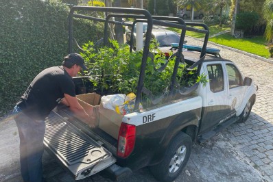Polícia prende homem em flagrante por plantar maconha em condomínio de luxo