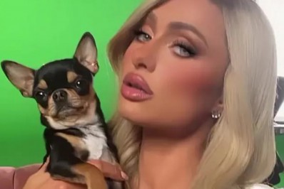 Paris Hilton admite ter contratado vidente para encontrar uma de suas cachorras