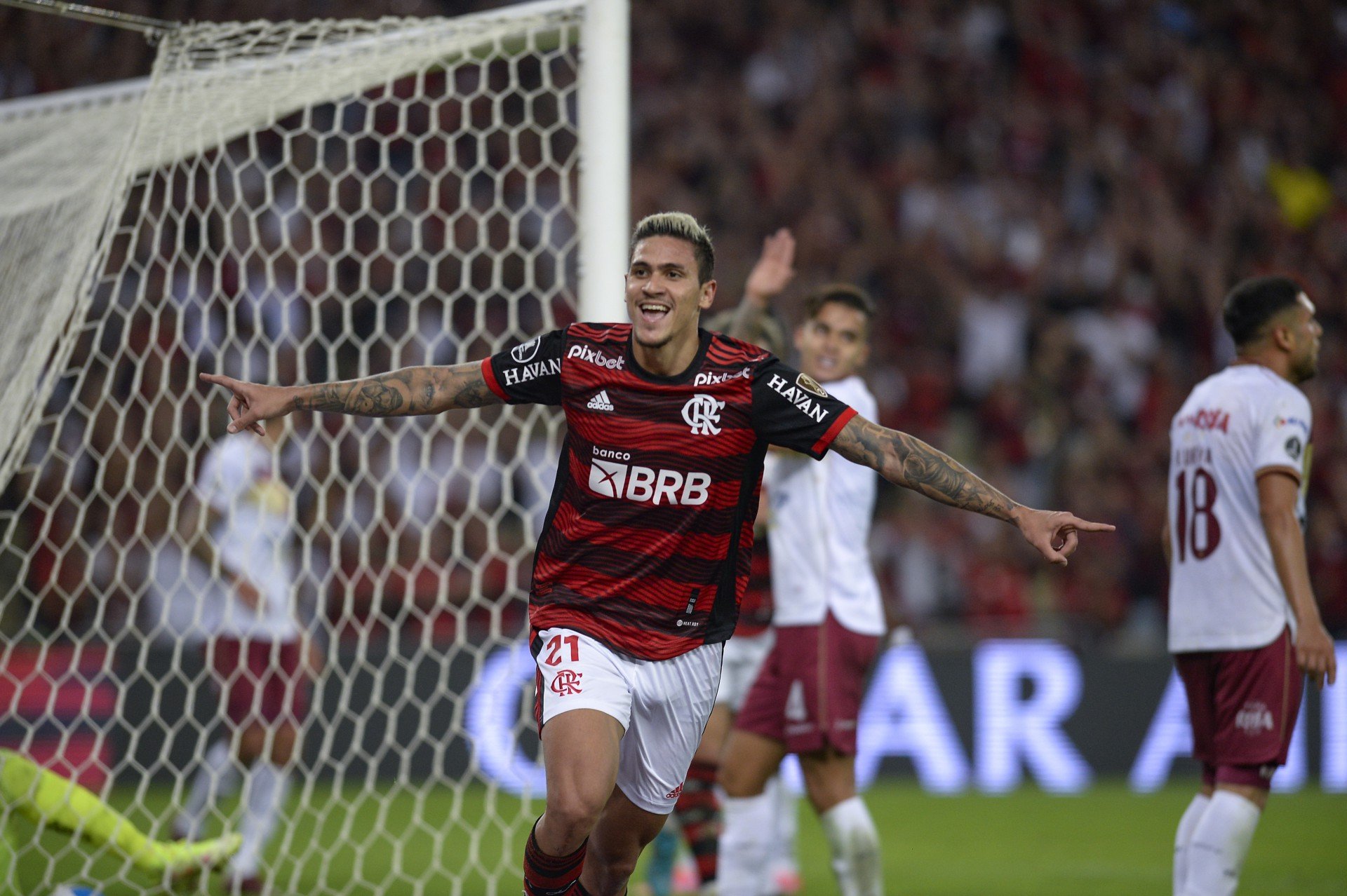 Pedro é o artilheiro da Libertadores, com 12 gols - Marcelo Cortes / Flamengo