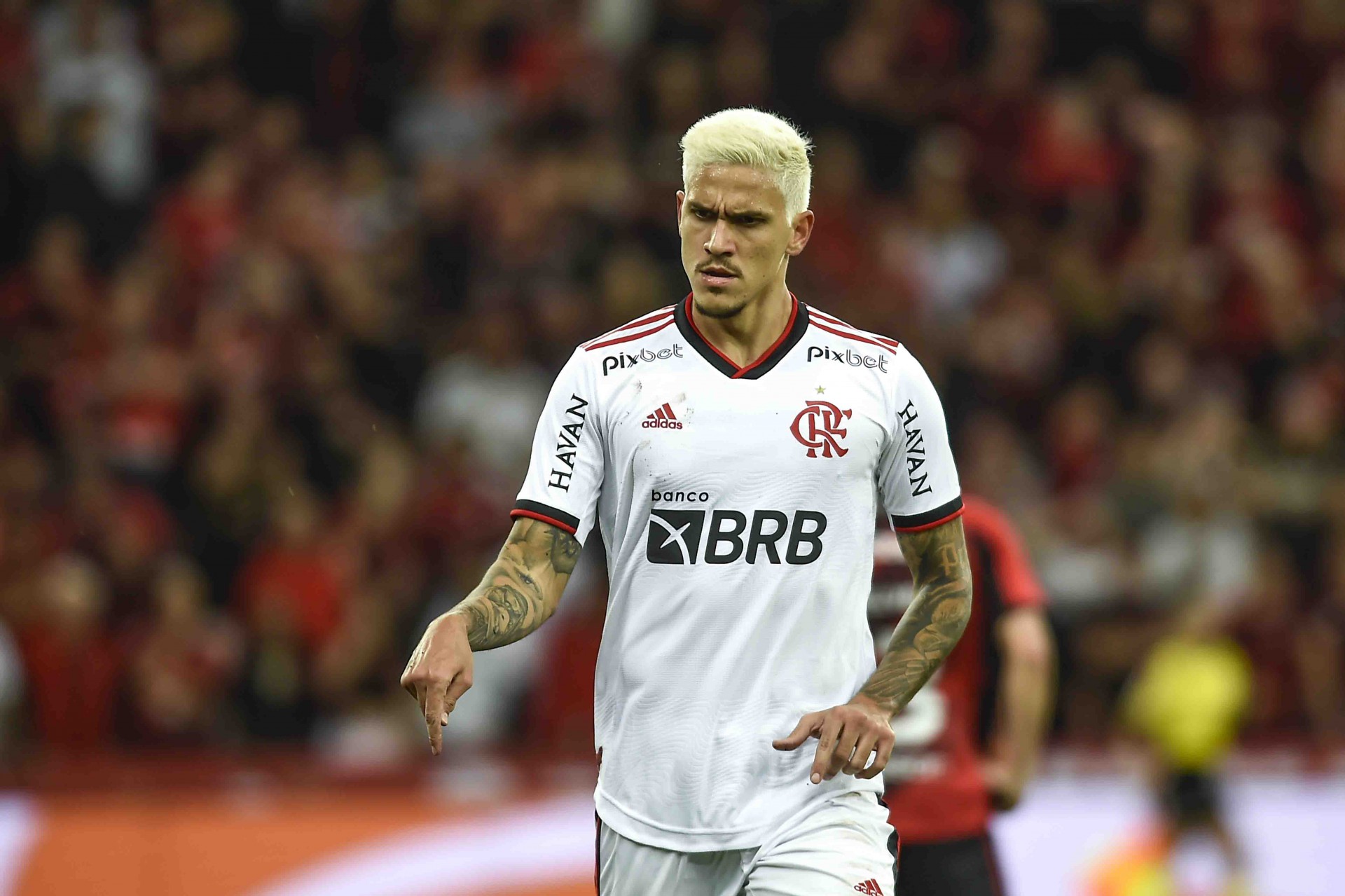 Pedro foi peça fundamental e reviravolta do Flamengo no ano - Marcelo Cortes / Flamengo