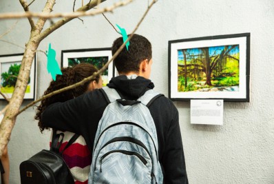 Meio Ambiente: Primeira exposição de fotografias 