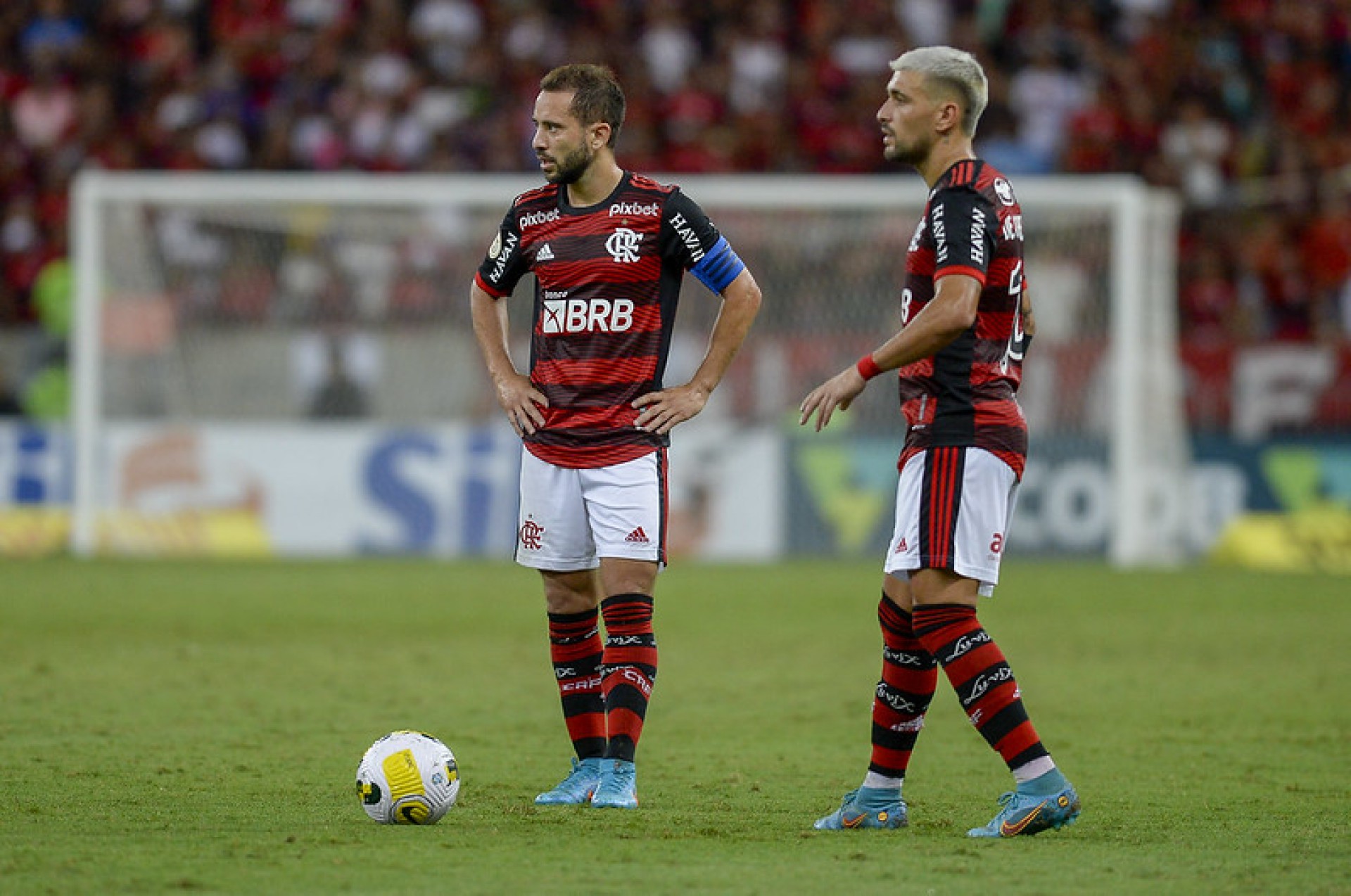 Arrascaeta E Everton Ribeiro Parabenizam Cruzeiro Pelo Acesso Elite Do Futebol Brasileiro Mh