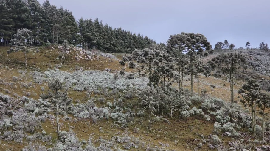 Santa Catarina registra neve e temperaturas negativas no início da primavera