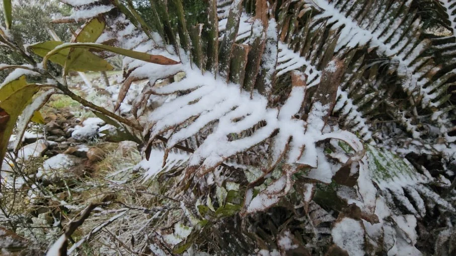 Neve hist&oacute;rica de primavera no Planalto Sul Catarinense
