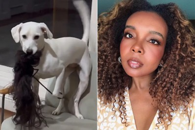 Thelma Assis tem peruca 'roubada' por cachorra: 'Me dá meu cabelo'