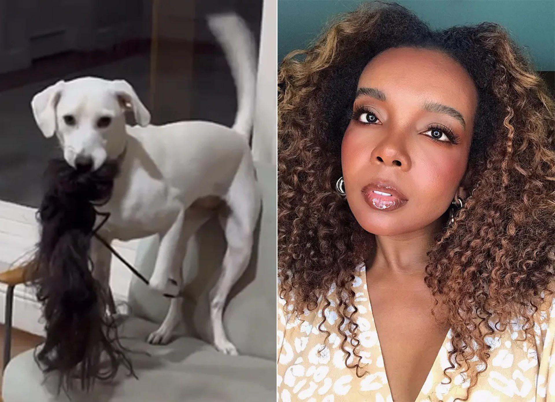 Thelma Assis diverte seguidores ao mostrar momento inusitado com sua cachorra, Charllote - Reprodução / Instagram