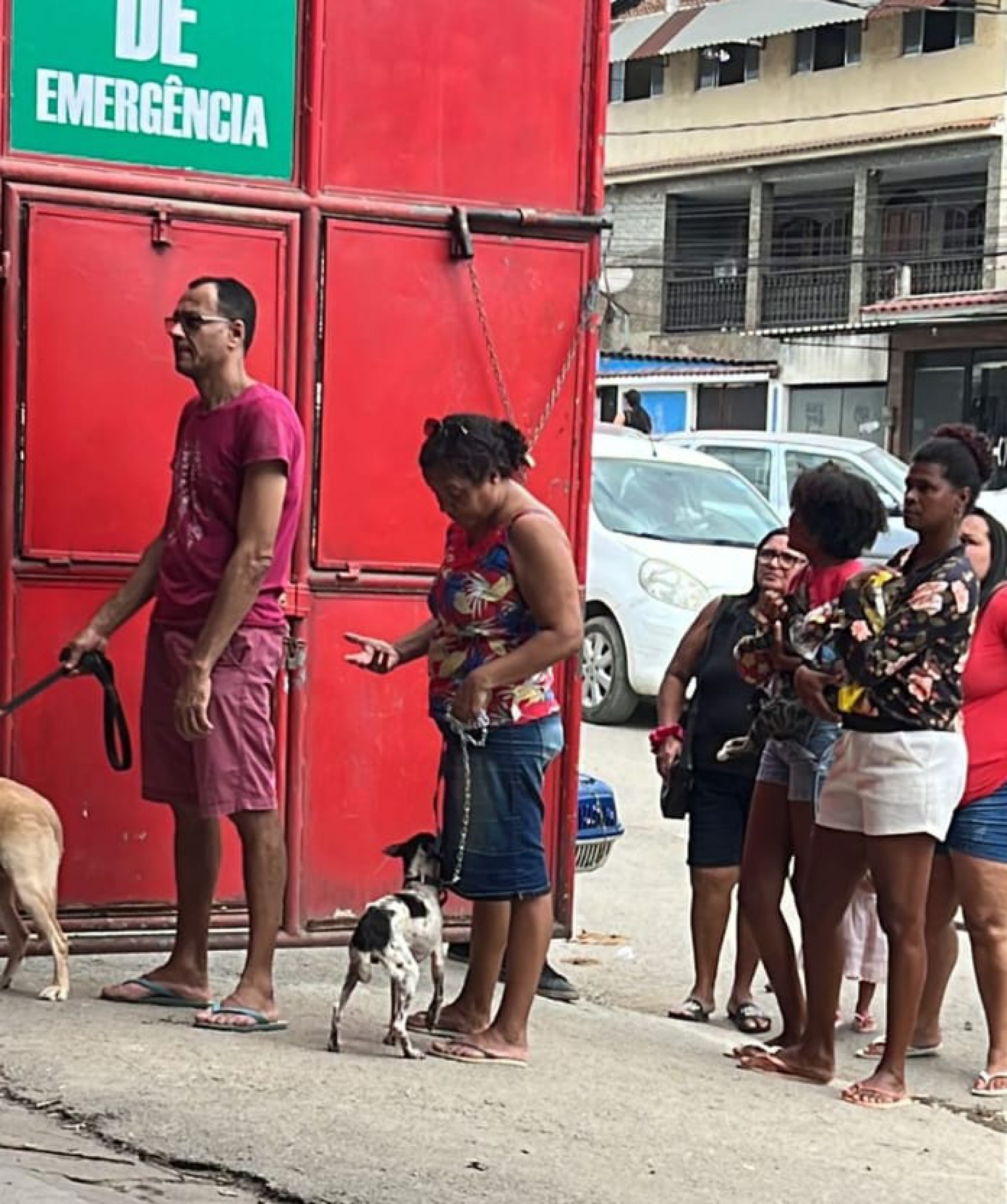 Os portões da Inocentes foram abertos para a população vacinar seus animais - Divulgação