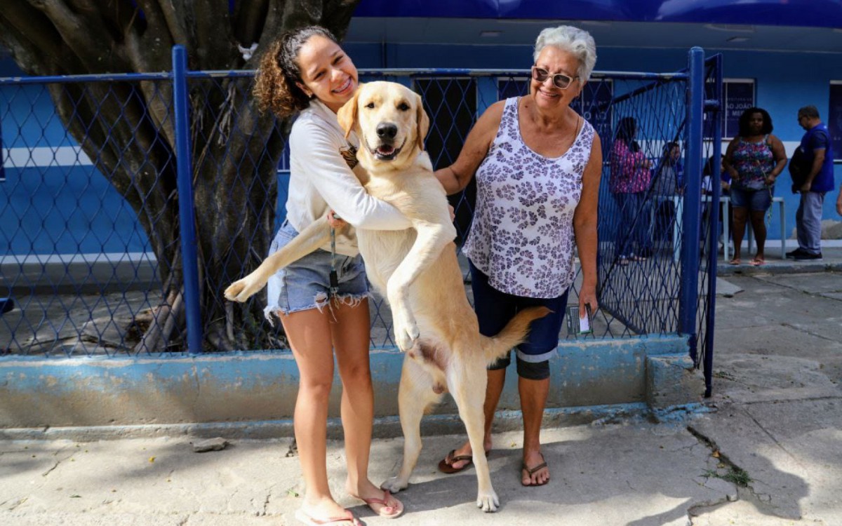 Protetora Maria Edna Andrade, 67 anos, tutora do labrador Ant&ocirc;nio