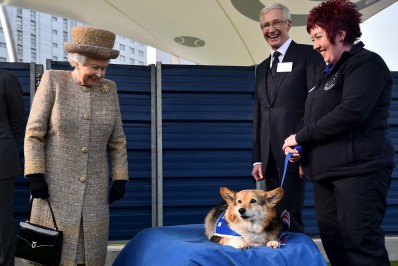 Preço de cães da raça corgi bate recorde após morte da rainha Elizabeth II