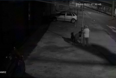 Vídeo: cadela é abandonada por duas mulheres em Vicente de Carvalho 