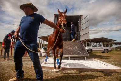 Feira Agropecuária começa nesta terça-feira (27) em Cabo Frio