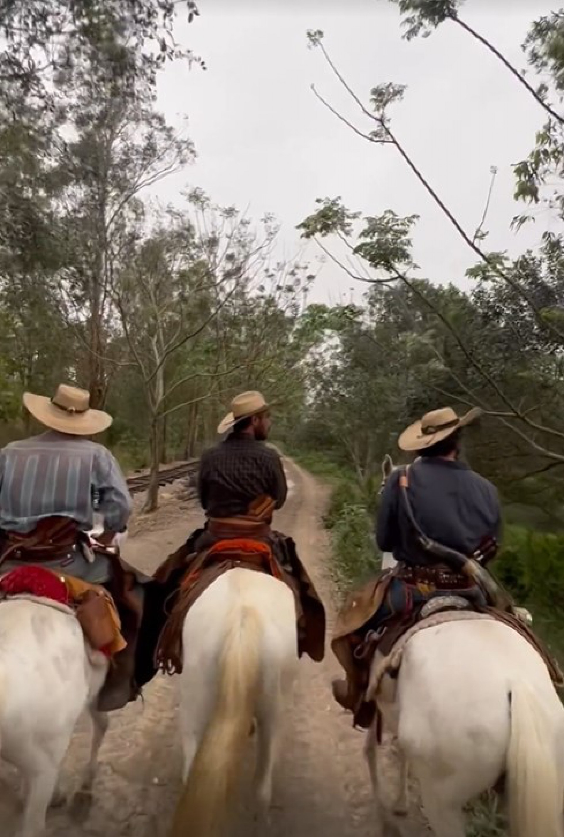 Elenco de 'Pantanal em última externa - Reprodução/Instagram