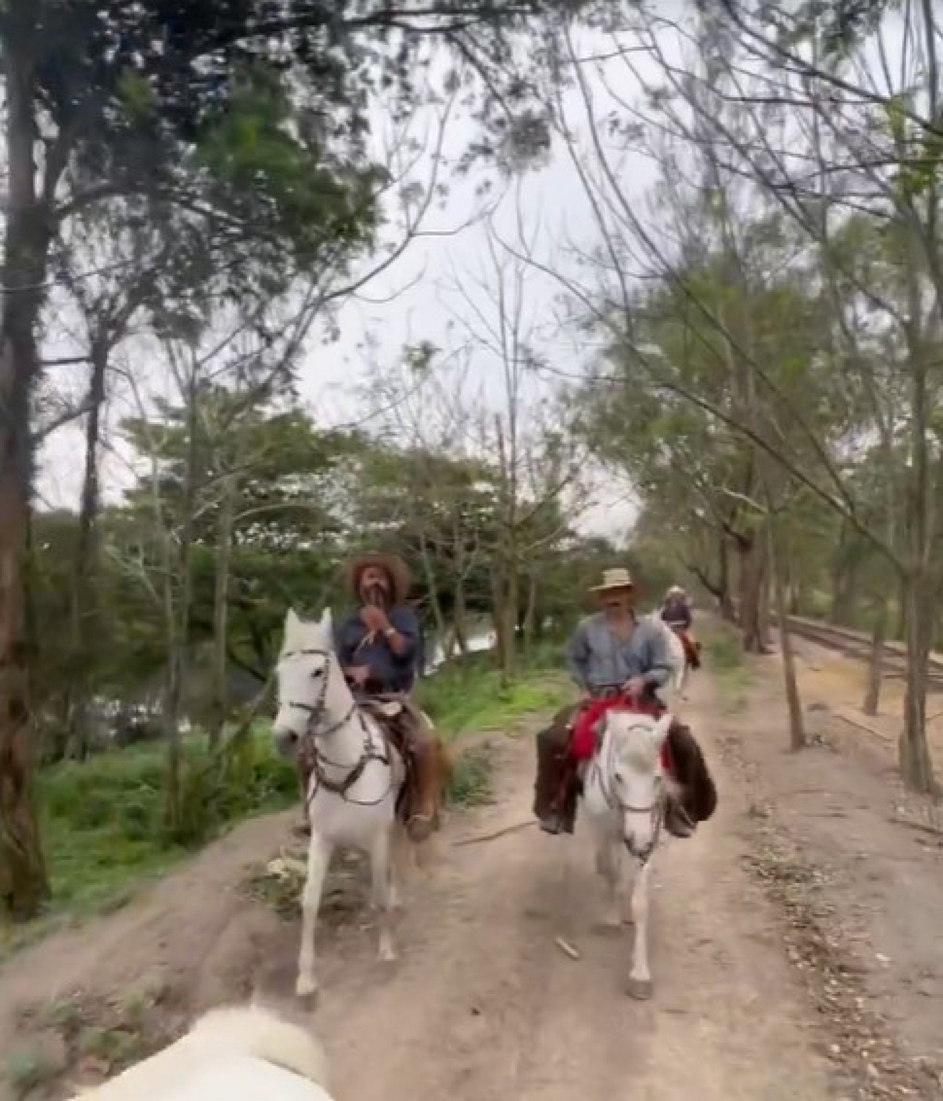 Elenco de Pantanal mostra última gravação externa Dever cumprido Televisão O Dia