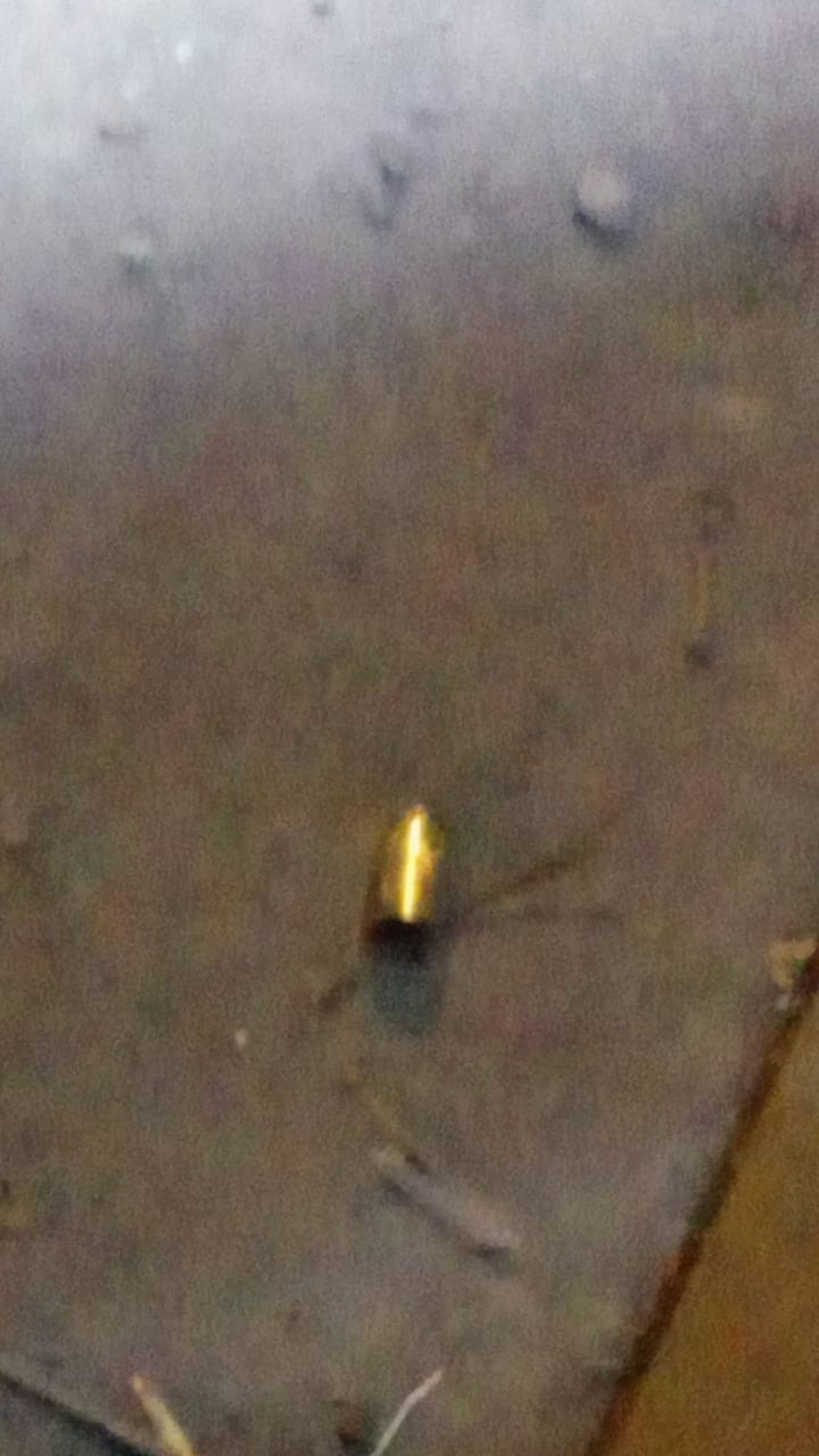 C&aacute;psula que teria sido disparada pelo policial contra o deputado Paulo Guedes