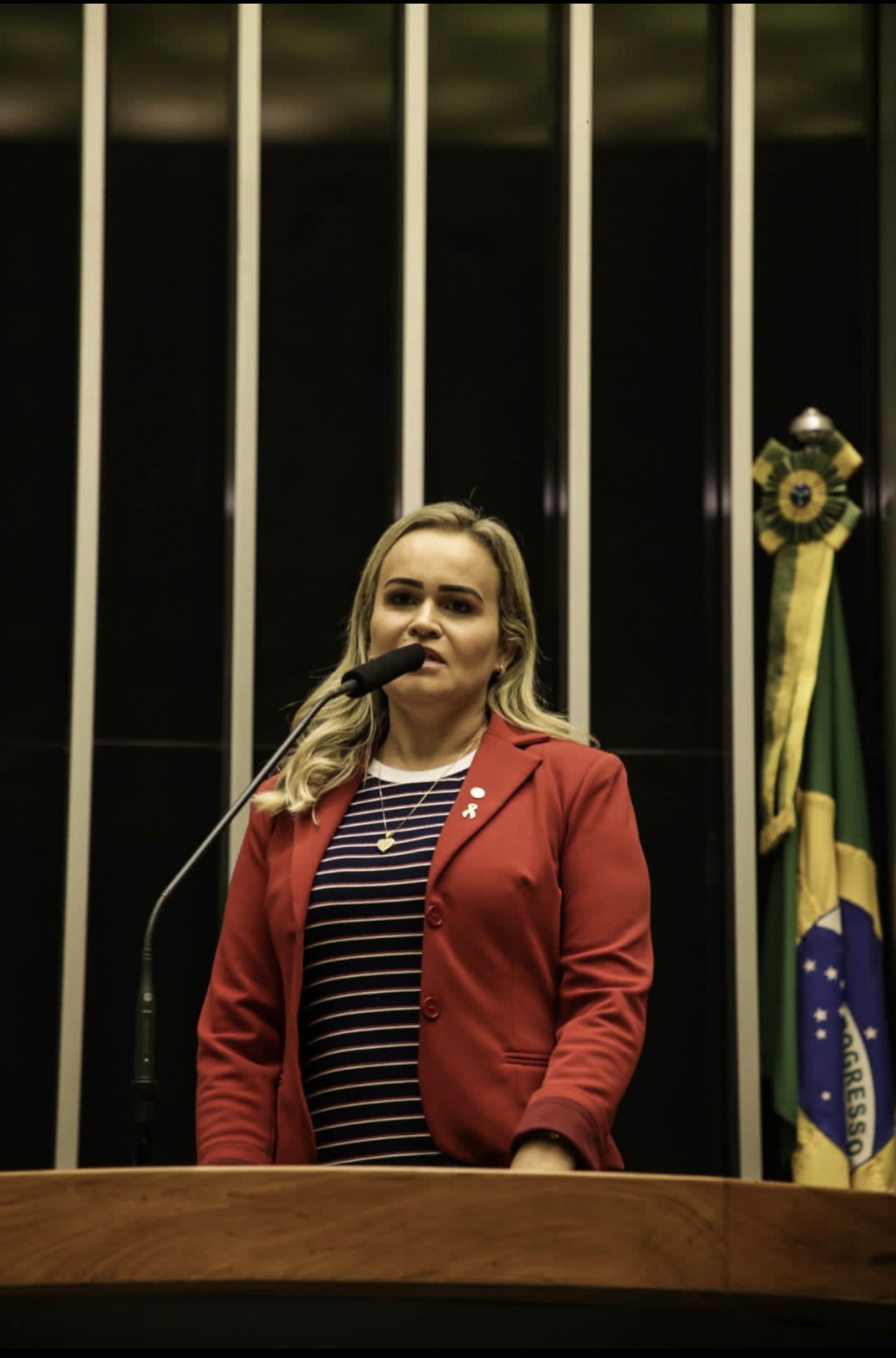 É de Daniela do Waguinho, a Lei que instituiu o 13 de março como Dia Nacional da luta contra a Endometriose, e a Semana de Educação Preventiva sobre a doença; além de projetos que asseguram gratuidade de justiça para mulheres vítimas de violência doméstica, entre outras ações - Divulgação