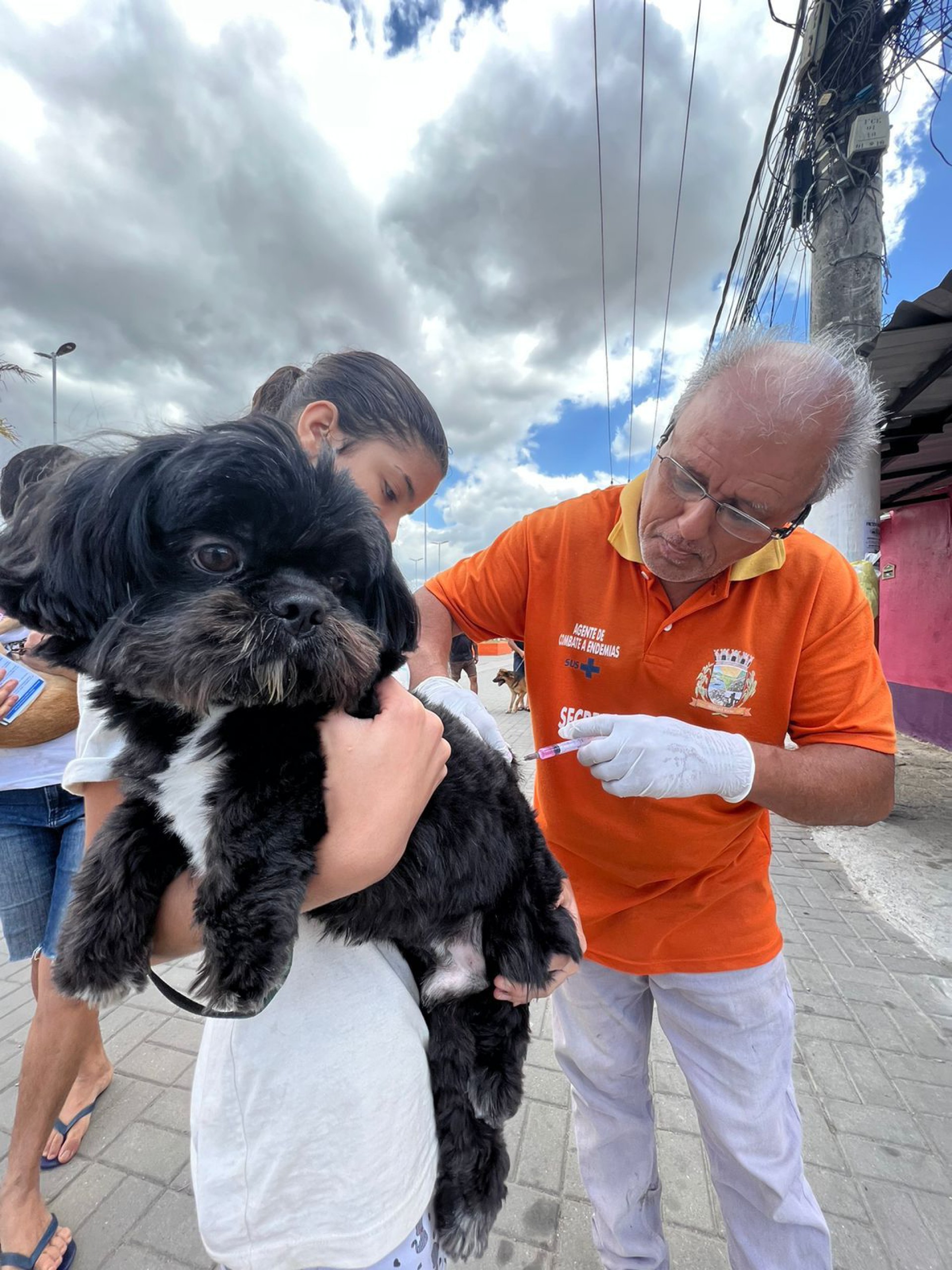 A campanha de vacinação antirrábica envolveu 123 profissionais - Divulgação / PMBR