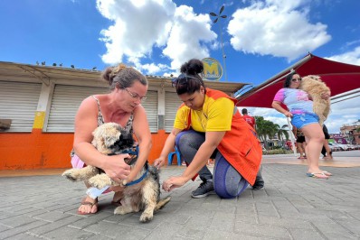 Belford Roxo vacina mais de 11 mil animais no Dia D da Campanha Nacional Antirrábica