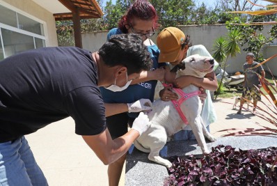 Prefeitura de Búzios aplica mais de 5 mil vacinas antirrábicas em cães e gatos
