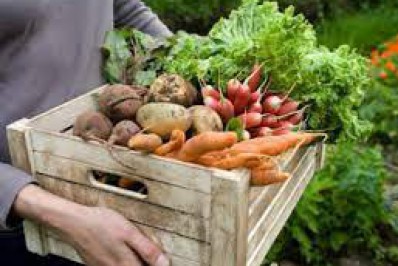 Teresópolis realiza chamada pública histórica para a merenda escolar